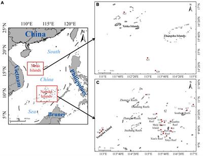 Spatial Distribution and Composition of Surface Microplastics in the Southwestern South China Sea